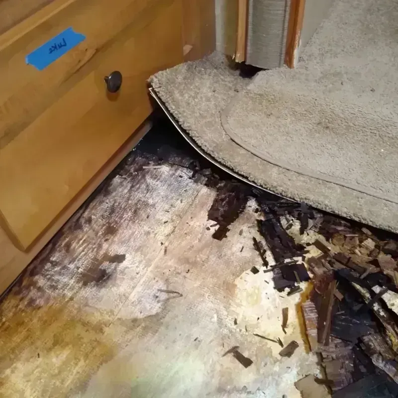 Best Wood Floor Water Damage Service in Greenfield, IA